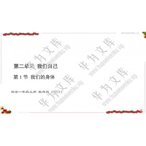 小一上科学科教版目录行数：11）；本节内容：2 .1 我们的身体  （教学课件）；第1个课件；小学科学科教版（2024）一年级上册(共16张PPT)